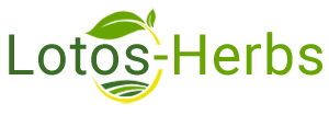 logo 300px