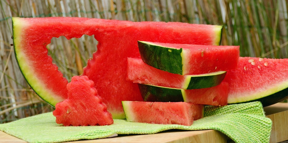 melon 1537284 960 720
