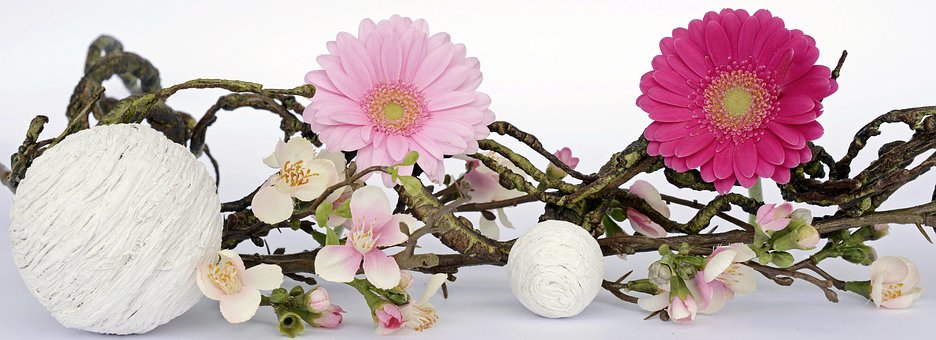 gerbera 2090835 340
