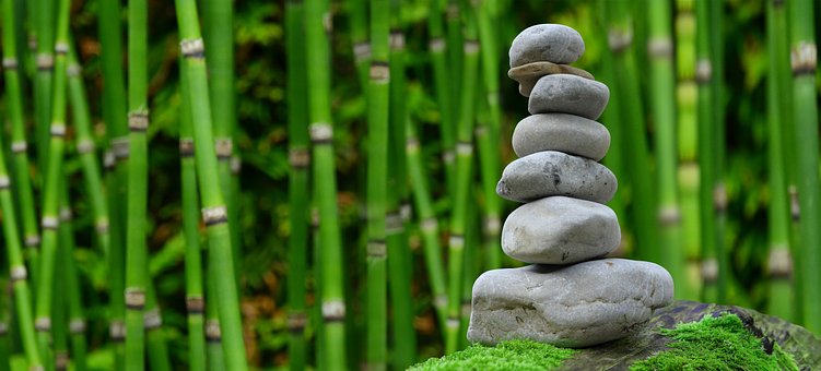 zen 2040340 340